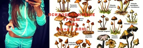 круглые Михайловск
