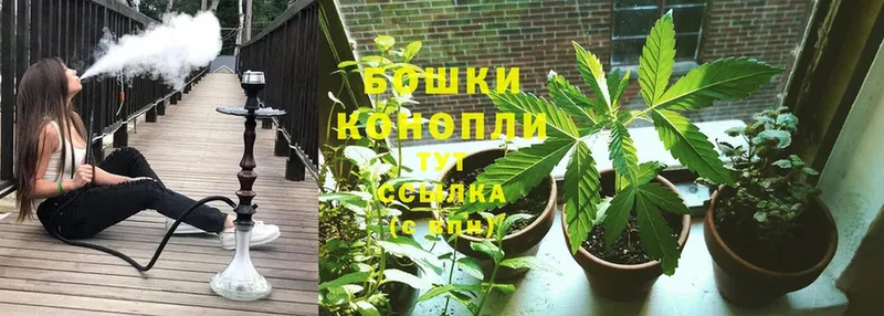 МАРИХУАНА Ganja  Нестеровская 